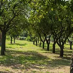 Coluccia Farm stay Martano