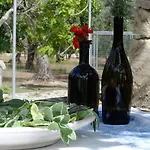 Coluccia * Martano