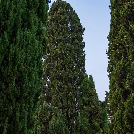 Farm stay Coluccia Martano