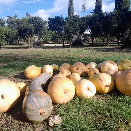 Farm stay Coluccia Martano