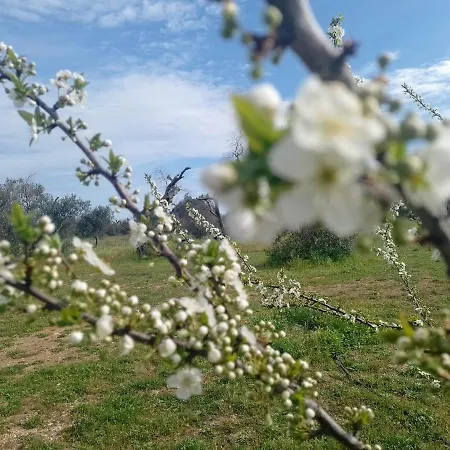 Coluccia Farm stay Martano