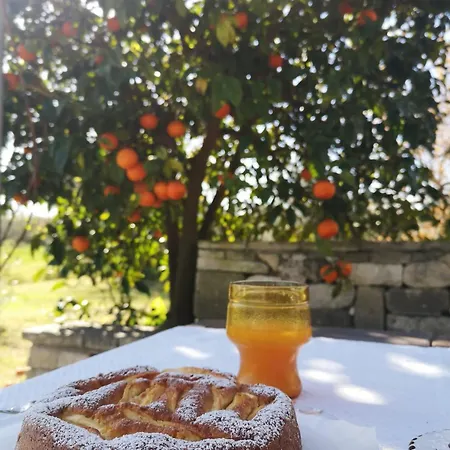 Coluccia * Martano