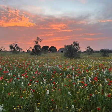 Coluccia Farm stay *