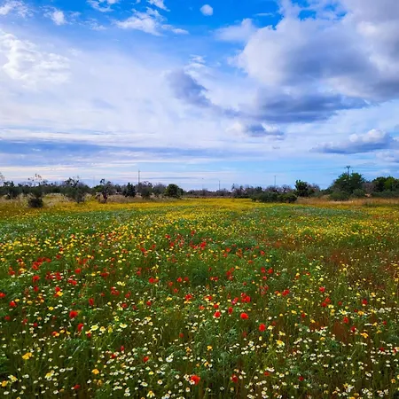 Farm stay Coluccia
