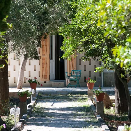 Coluccia Martano
