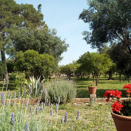 Coluccia בית חווה מרטאנו
