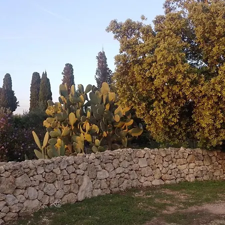 Coluccia * Martano