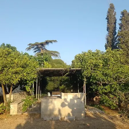 Coluccia * Martano