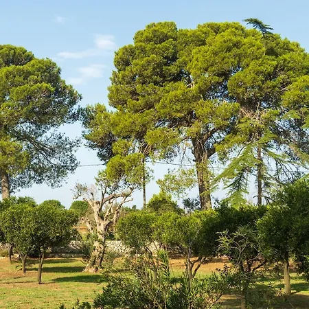 Vakantieboerderij Coluccia *