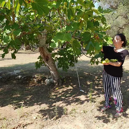 Agroturismo Coluccia *