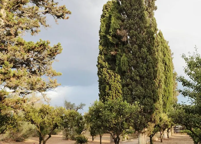 Çiftlik konaklama Coluccia Martano
